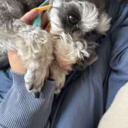 ヒメ日記 2025/06/02 08:45 投稿 りりか 千葉松戸ちゃんこ