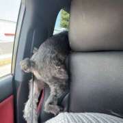 ヒメ日記 2025/06/06 12:00 投稿 りりか 千葉松戸ちゃんこ