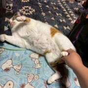 ヒメ日記 2025/06/10 10:34 投稿 りりか 千葉松戸ちゃんこ