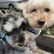 ヒメ日記 2025/07/17 14:13 投稿 りりか 千葉松戸ちゃんこ