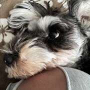 ヒメ日記 2025/09/02 19:45 投稿 りりか 千葉松戸ちゃんこ