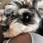 ヒメ日記 2025/09/25 07:06 投稿 りりか 千葉松戸ちゃんこ