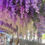 ヒメ日記 2025/10/28 22:51 投稿 りりか 千葉松戸ちゃんこ