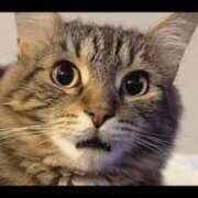 ヒメ日記 2025/10/12 21:23 投稿 天空橋らん THE痴漢電車.com