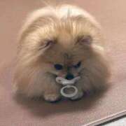 ヒメ日記 2025/10/27 22:53 投稿 天空橋らん THE痴漢電車.com