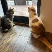 なな★完未！敏感すぎる現役JD 🙇🏻‍♀️‎🤍 Chloe五反田本店　S級素人清楚系デリヘル