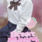 ヒメ日記 2025/08/18 04:05 投稿 てれさ 女子校生はやめられない