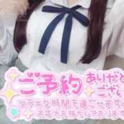 てれさ ご予約完売.˚ 女子校生はやめられない