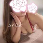 ヒメ日記 2025/11/10 08:26 投稿 ウラン リッチドールなんば店