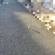 ヒメ日記 2025/03/14 14:01 投稿 りか 小岩人妻花壇