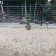 ヒメ日記 2025/05/27 17:23 投稿 りか 小岩人妻花壇