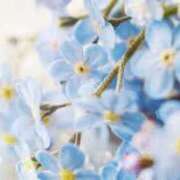 ヒメ日記 2025/09/03 17:31 投稿 りか 小岩人妻花壇