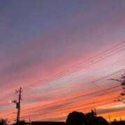 ヒメ日記 2025/10/29 19:27 投稿 りか 小岩人妻花壇