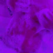 ヒメ日記 2025/05/09 15:24 投稿 知念まや ウルトラハピネス