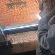 ヒメ日記 2025/06/01 23:14 投稿 知念まや ウルトラハピネス