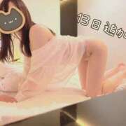 ヒメ日記 2025/03/10 17:47 投稿 ほまれ C.C.CATS