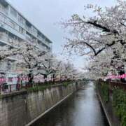 ヒメ日記 2025/04/06 21:20 投稿 えりか ごほうびSPA五反田店