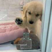 ヒメ日記 2025/05/22 22:20 投稿 えりか ごほうびSPA五反田店