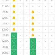 ヒメ日記 2026/03/14 18:30 投稿 えりか ごほうびSPA五反田店