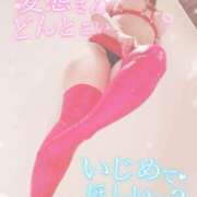 ヒメ日記 2025/04/03 12:21 投稿 りま 長野飯田ちゃんこ