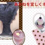 ヒメ日記 2025/03/02 10:47 投稿 あかね 福岡ちゃんこ大牟田店