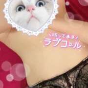 ヒナ 🐣2日目奪ってくれる¿ Club NANA 神戸西宮