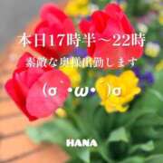 ヒメ日記 2026/04/16 14:03 投稿 宇佐美　華 川崎南町 素敵な奥様（川崎ハレ系）