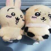 ヒメ日記 2025/03/09 13:42 投稿 アルシンド お願いマラどーな