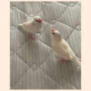 ヒメ日記 2025/10/20 22:45 投稿 ナナ★美白美人妻 BITEKI