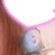 ヒメ日記 2026/01/15 01:06 投稿 ナナ★美白美人妻 BITEKI