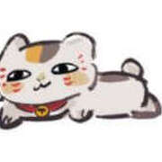 ヒメ日記 2025/03/11 21:03 投稿 みい バッドカンパニー水戸