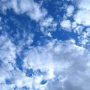 ヒメ日記 2025/03/20 07:40 投稿 みい バッドカンパニー水戸