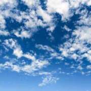 ヒメ日記 2025/03/21 09:03 投稿 みい バッドカンパニー水戸