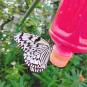 ヒメ日記 2025/03/24 18:06 投稿 みい バッドカンパニー水戸