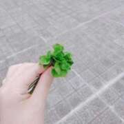 ヒメ日記 2025/03/28 08:03 投稿 みい バッドカンパニー水戸