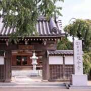 ヒメ日記 2025/03/30 10:45 投稿 みい バッドカンパニー水戸