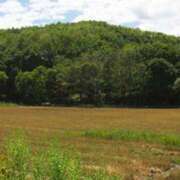 ヒメ日記 2025/04/10 10:27 投稿 みい バッドカンパニー水戸