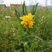 ヒメ日記 2025/04/11 08:09 投稿 みい バッドカンパニー水戸