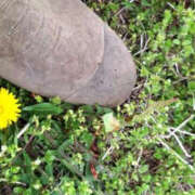 ヒメ日記 2025/04/12 08:09 投稿 みい バッドカンパニー水戸