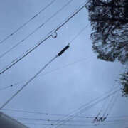 ヒメ日記 2025/04/13 09:06 投稿 みい バッドカンパニー水戸