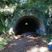 ヒメ日記 2025/04/17 15:15 投稿 みい バッドカンパニー水戸