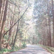 ヒメ日記 2025/04/18 11:09 投稿 みい バッドカンパニー水戸