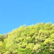 ヒメ日記 2025/04/21 08:09 投稿 みい バッドカンパニー水戸