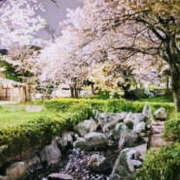 ヒメ日記 2025/04/21 09:36 投稿 みい バッドカンパニー水戸