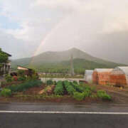 ヒメ日記 2025/05/05 08:21 投稿 みい バッドカンパニー水戸