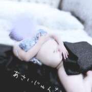 ヒメ日記 2025/02/20 23:46 投稿 浅井純菜 こあくまな熟女たち 京都店(KOAKUMAグループ)