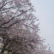 ヒメ日記 2026/04/12 23:03 投稿 さな/Sana VERY（ヴェリィ)