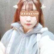 ヒメ日記 2025/02/24 10:45 投稿 みる ぷるりんクエスト上野浅草鶯谷秋葉原デリヘル王国