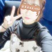 ヒメ日記 2025/04/04 18:07 投稿 みる ぷるりんクエスト上野浅草鶯谷秋葉原デリヘル王国