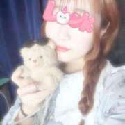 ヒメ日記 2025/04/12 10:48 投稿 みる ぷるりんクエスト上野浅草鶯谷秋葉原デリヘル王国